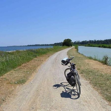 Appartement Climatise Port La Nouvelle A 50 M De La Plage エクステリア 写真