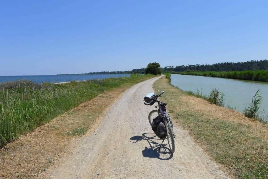 Appartement Climatise Port La Nouvelle A 50 M De La Plage エクステリア 写真